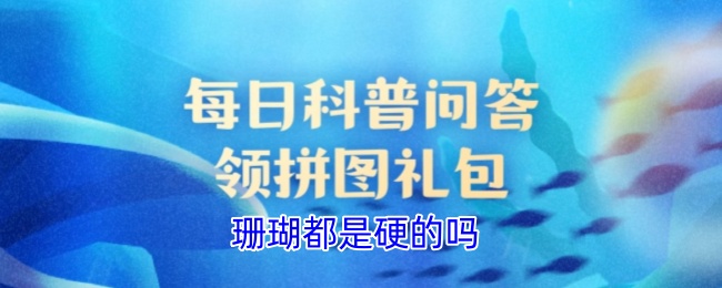 珊瑚是硬的嗎？