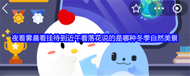 冬季自然美景：夜霧、晨掛、午花