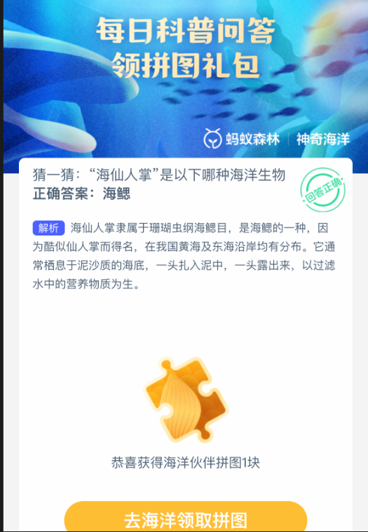 猜一猜“海仙人掌”是以下哪種海洋生物