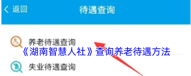 《湖南智慧人社》養(yǎng)老待遇查詢指南
