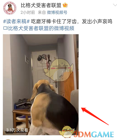 微博后臺(tái)播放視頻方法
