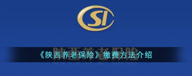 《陜西養(yǎng)老保險繳費指南》