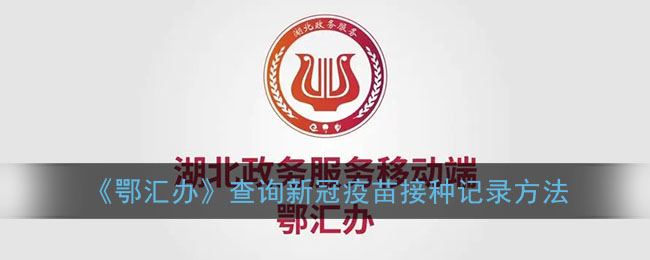 《鄂匯辦》查詢疫苗接種記錄方法