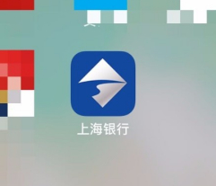 《上海銀行》還款記錄查看方法