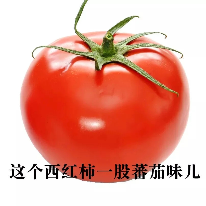 聽君一席話如聽一席話類似的梗