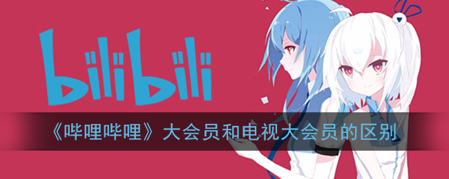《嗶哩嗶哩大會員與電視大會員區(qū)別》