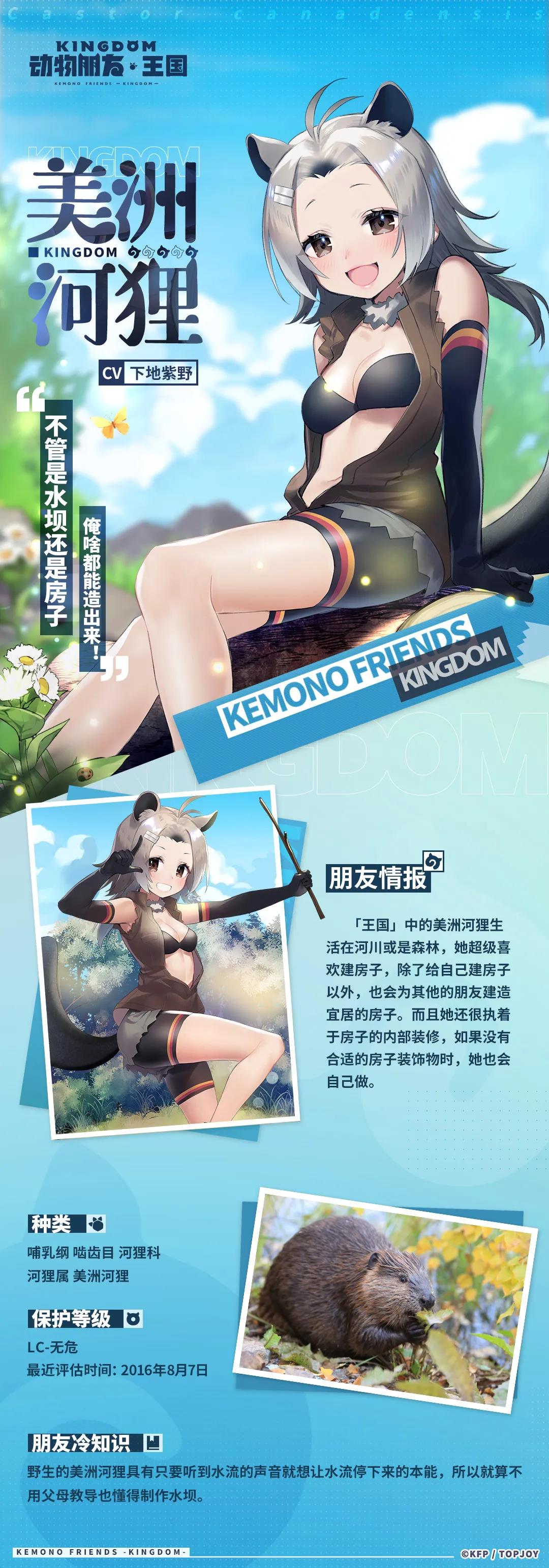 《動物朋友王國》美洲河貍角色介紹
