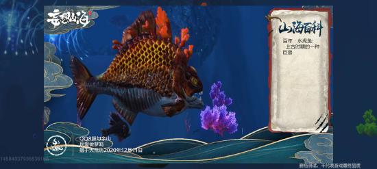 水虎魚詳解