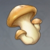 《原神》材料蘑菇介紹