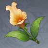 《原神》金魚草介紹