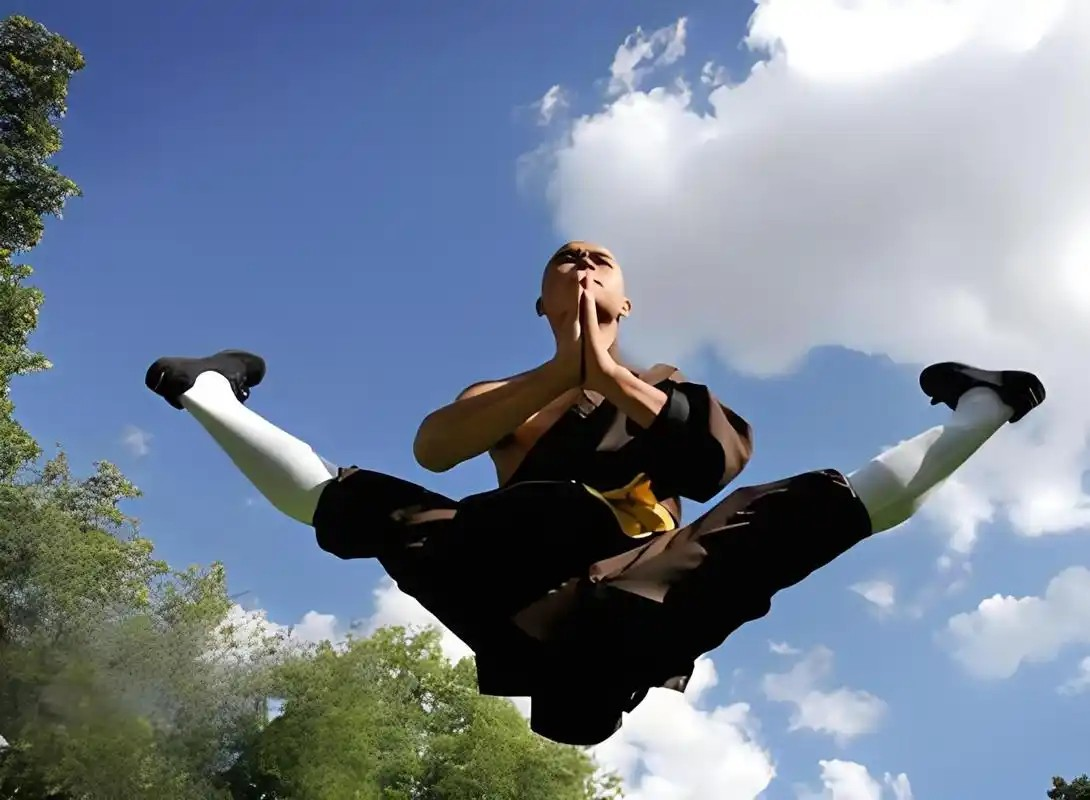 “禪武合一”是以下哪種傳統(tǒng)武術(shù)的核心理念