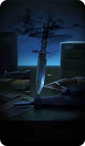 《命運(yùn)冠位指定》無陽光禮裝圖鑒