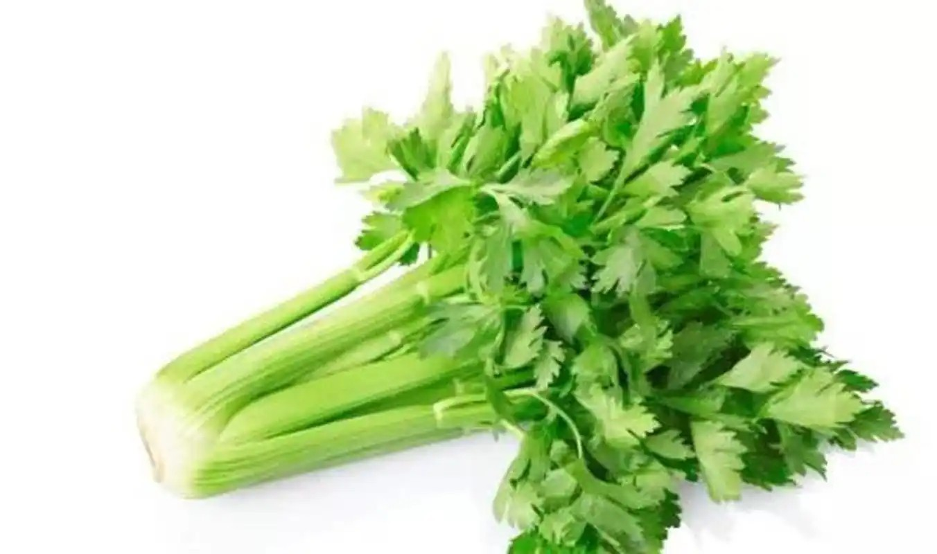 以下哪一項屬于光敏性食物