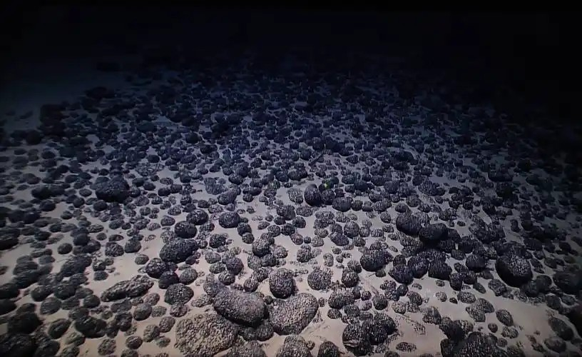 以下哪種海洋環(huán)境中的食物鏈被稱為“黑色食物鏈”