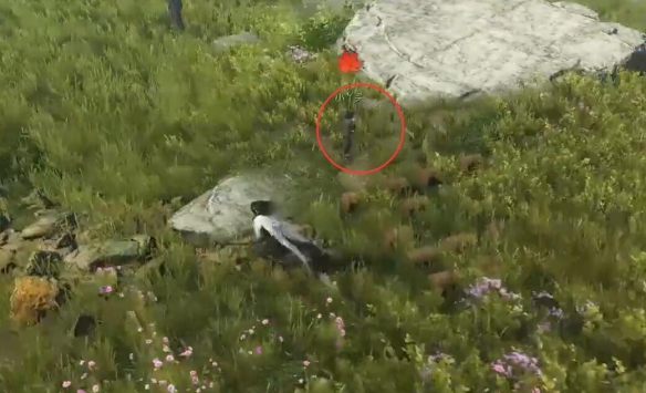 《逆水寒手游》愛(ài)糖小童奇遇攻略