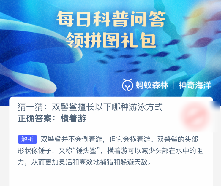 雙髻鯊游泳方式