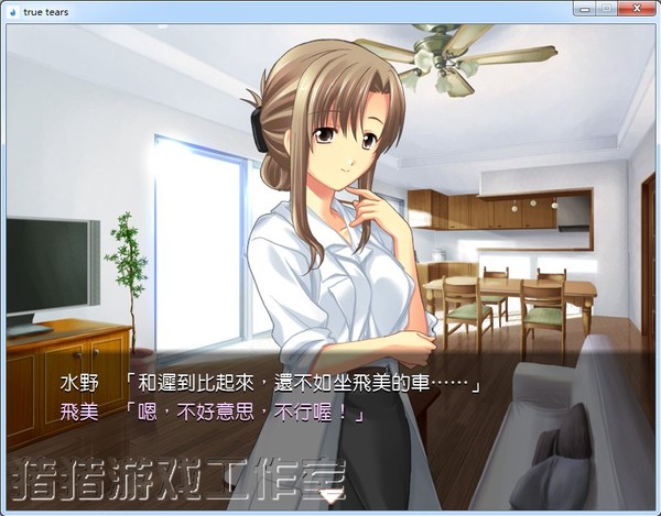 真實之淚 漢化破解版