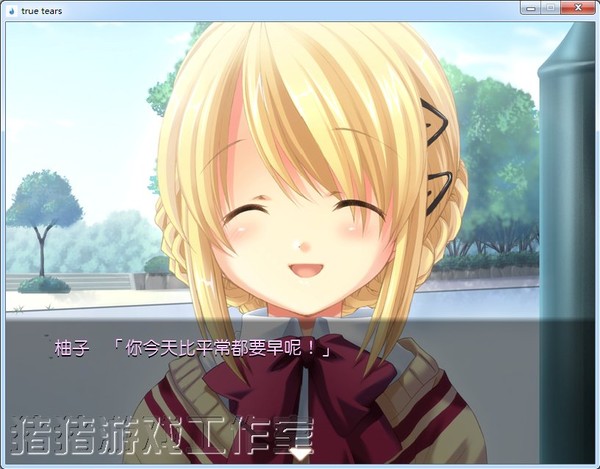 真實之淚 漢化破解版