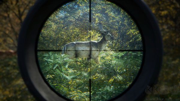 獵人荒野的召喚PC