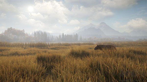 獵人荒野的召喚PC