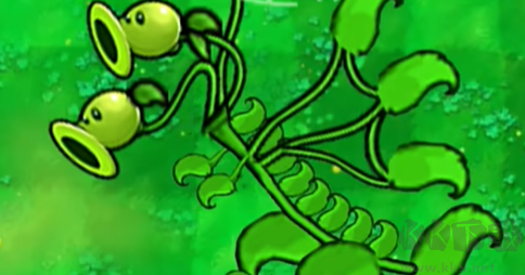 植物大戰(zhàn)僵尸嫁接版 v1.0 PC版