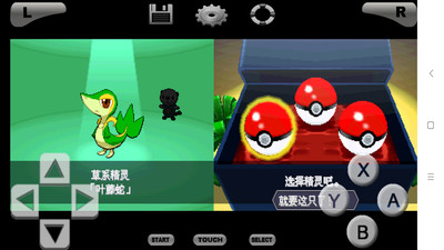 口袋妖怪黑白2金手指版 v2.0