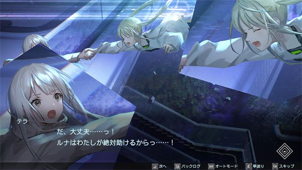 傳繼者PC綠色版