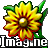 Imagine 1.0.7.0 免費(fèi)版
