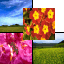 Youfeng Photocompose 1.2 綠色版