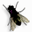 Fly on Desktop 1.3.0.0 官方版