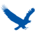 EagleGet 2.0.4.7 官方版