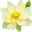 冰越語(yǔ)文單詞速背通軟件 3.1.1.6 官方版