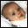 BelleView 1.5.2 官方版