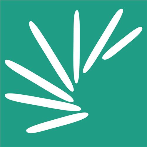 瘋狂單詞 1.0.0 官方版
