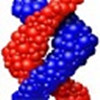 Dnastar(DNA分析軟件) v7.1中文版