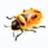 Firebug v3.3.0 中文版