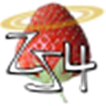 ZS4 Video Editor v1.2 漢化版