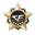 CF百寶箱 v3.9 綠色版