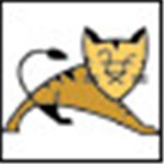 tomcat v7.0