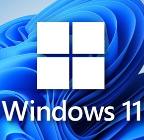 Windows 11 精簡優(yōu)化版 (22000.348)