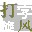 打字旋風(fēng) 破解版