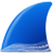 wireshark中文版電腦版 v3.6.2