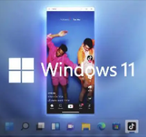Win11 安卓子系統(tǒng) (Android 12.1) 最新獨(dú)立安裝包