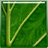 Sharpener Pro v3.1 綠色版破解版