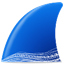 Wireshark中文版 v4.0.6綠色版