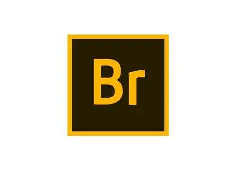 Bridge安裝程序