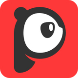 PDF大師精簡(jiǎn)版 v3.1.0