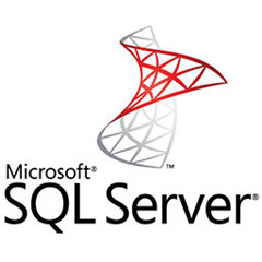 SQL Server 2000 數(shù)據(jù)庫管理工具 v2000