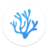 VSCodium v1.85.2 中文免費(fèi)版