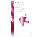 Retas Studio v2.2.1 綠色版